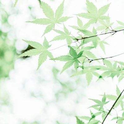 新三国魂ol官方版下载
