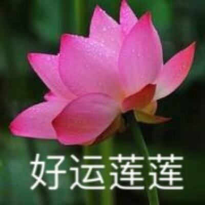 仙灵魔域九游口袋版下载